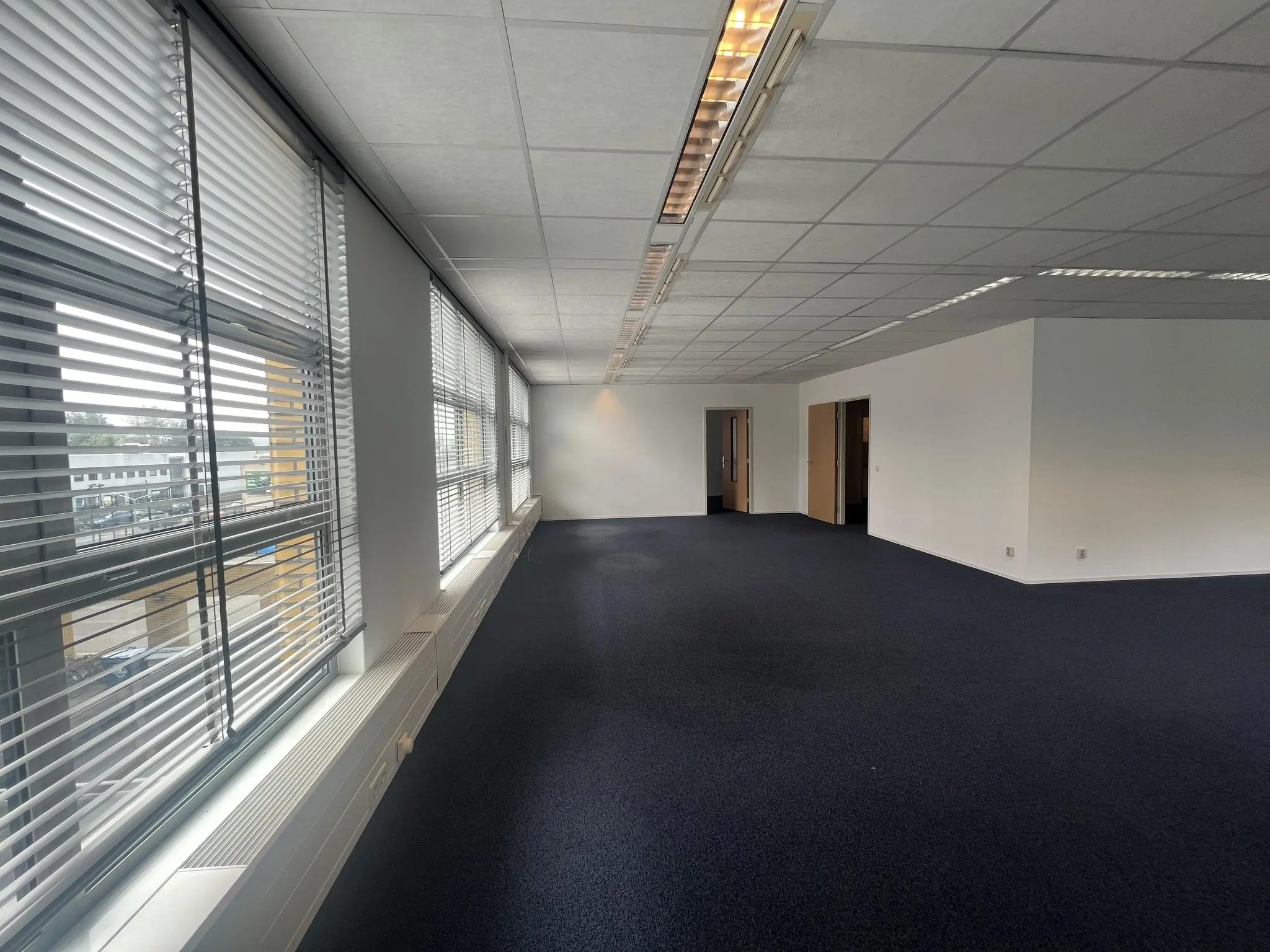 Lichte, ruime kantoorruimte aan de Rivium 2e Straat met grote ramen en blauw tapijt.